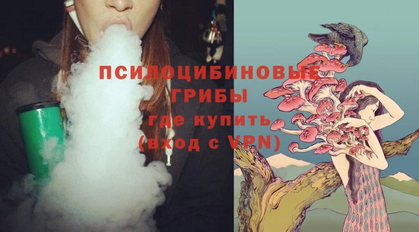 mdpv Козловка